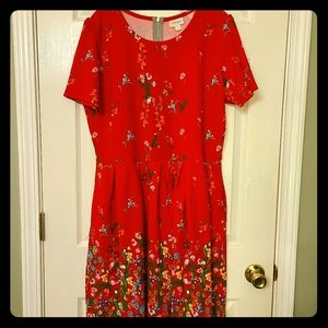 LuLaRoe Amelia 3XL